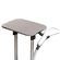 Garment steamer BORT Elegant
