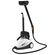 Steam cleaner BORT BDR-2300-R
